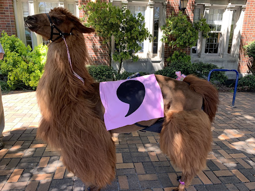 Comma Llama
